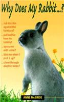 Why Does My Rabbit...?