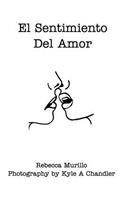 El Sentimiento Del Amor