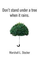 Don't Stand Under a Tree When It Rains