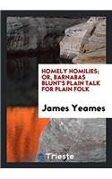 Homely homilies; or, Barnabas Blunt's plain talk for plain folk