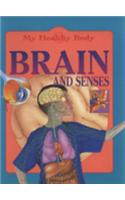 My Healthy Body: Brain and Senses