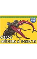 Giant Spiders & Insects