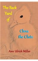 The Back Yard of Clara the Clutz