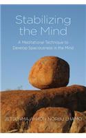 Stabilizing the Mind