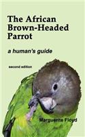 African Brown-Headed Parrot