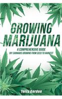 Growing Marijuana