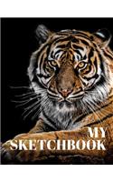My Sketchbook