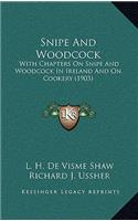 Snipe and Woodcock