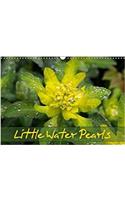 Little Water Pearls 2018