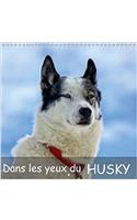 Dans Les Yeux Du Husky 2018