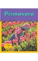 Primavera