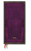 CORDOVAN MAXI 2019 HOR