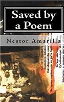 Saved By A Poem
