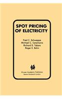 Spot Pricing of Electricity