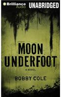 Moon Underfoot