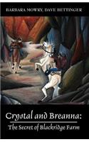 Crystal and Breanna: The Secret of Blackridge Farm(English)