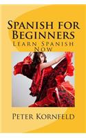 Spanish for Beginners: Fundamentals of Grammar, Vocabulary, Pronunciation, Questions & Phrases