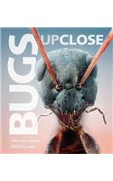 Bugs Up Close