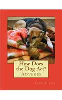 How Does the Dog Act?