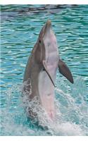 Dolphin at Play Journal: 150 page lined notebook/diary