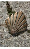 The Scallop Shell and the Camino De Santiago Spain Journal