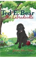 Ted E. Bear the Labradoodle