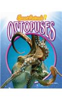 Octopuses