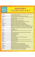 Anatomy Terminology (Speedy Study Guides)