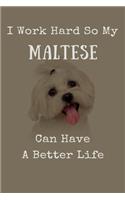 I Work Hard So My Maltese Can Have A Better Life: 120 Blank Pages (6 x 9 inches) Maltese Saying Notebook with More Malteses Inside!