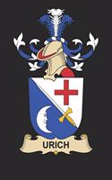 Urich: Urich Coat of Arms and Family Crest Notebook Journal (6 x 9 - 100 pages)