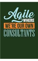 Agile Where We're Our Own Consultants
