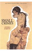 Small Crimes