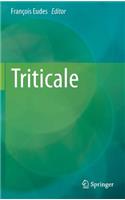 Triticale