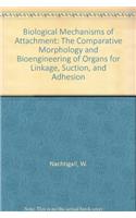 Biological Mechanisms of Attachment