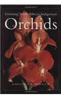 Growing South African Indigenous Orchids