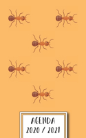 Agenda 2020 / 2021: Tema: Hormiga - Calendario de 18 meses julio 2020 a diciembre 2021 - Académico Planificador, Organizador, Diario - Agenda 2020 2021 semana vista en 