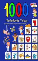 1000 Nederlands Telugu geïllustreerd tweetalig woordenschatboek: Kleurrijke editie