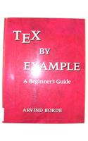 Tex by Example: A Beginner's Guide