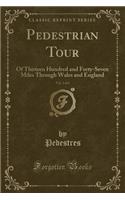 Pedestrian Tour, Vol. 2 of 2: Of Thirteen Hundred and Forty-Seven Miles Through Wales and England (Classic Reprint)