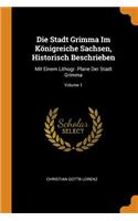Die Stadt Grimma Im Königreiche Sachsen, Historisch Beschrieben