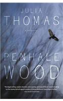 Penhale Wood: A Mystery