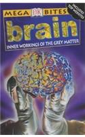 Brain: Inner Workings Of The Grey Matter