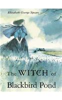 The Witch of Blackbird Pond