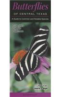 Butterflies of Central Texas