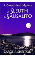 Sleuth in Sausalito: A Mystery