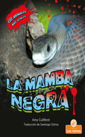 La Mamba Negra (Black Mamba)