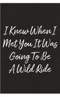 I Knew When I Met You It Was Going To Be A Wild Ride