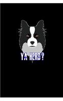Ya Herd?: Notebook Journal Diary 110 Lined pages