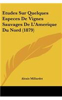 Etudes Sur Quelques Especes De Vignes Sauvages De L'Amerique Du Nord (1879)