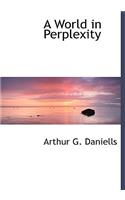 A World in Perplexity
